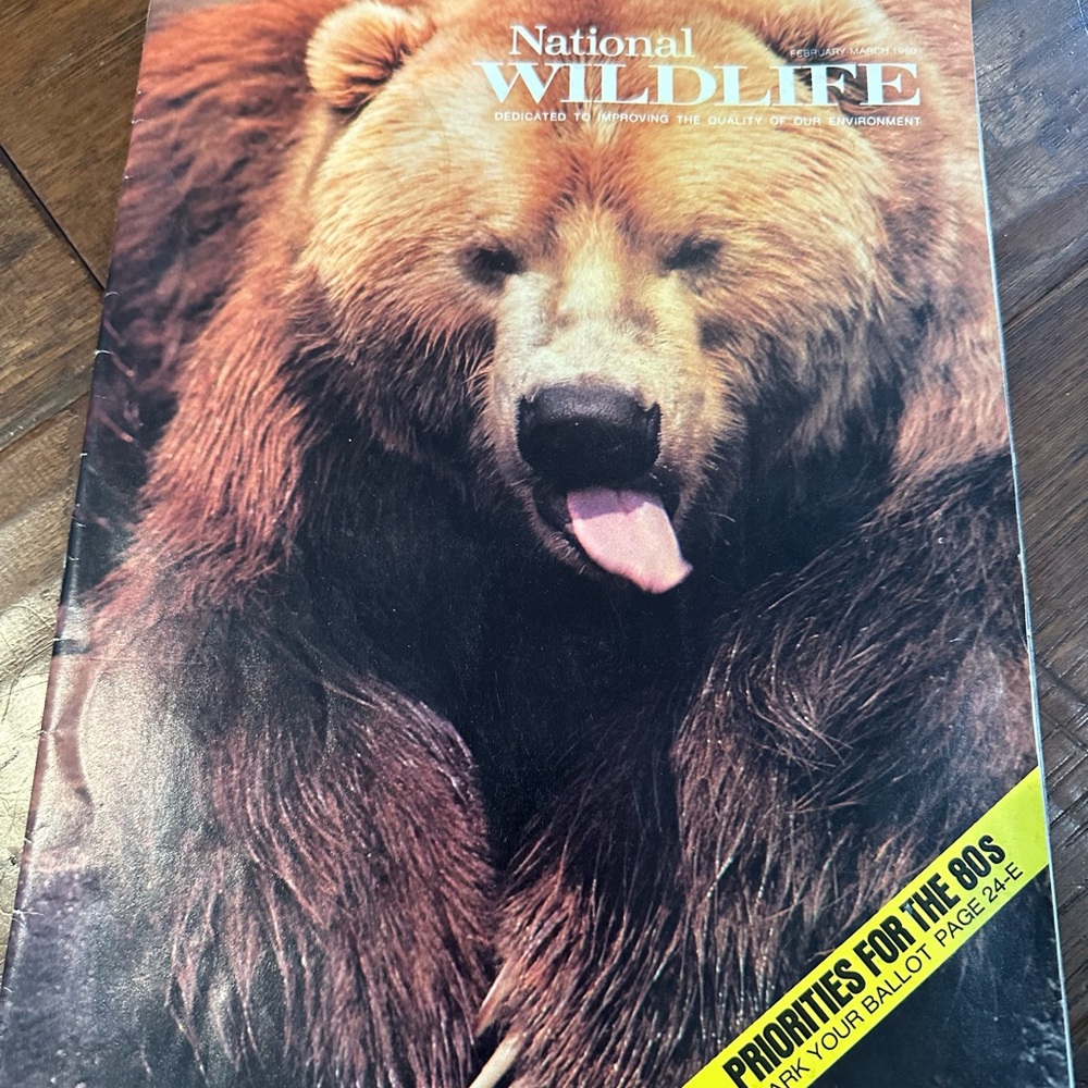 Vintage National Wildlife Magazine with Bear Cover